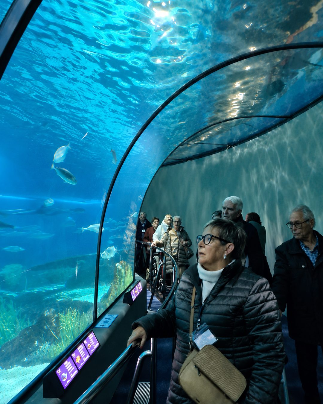 Visita a l'aquàrium